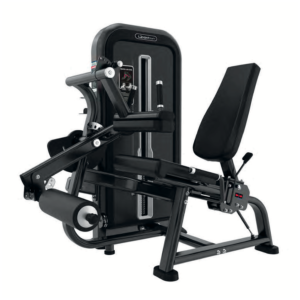 SEATED LEG CURL