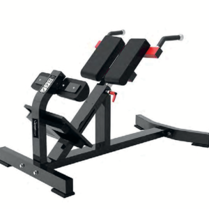 BACK EXTENSION