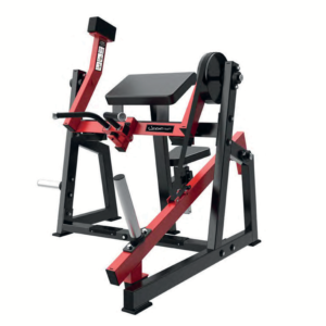 SEATED BICEPS